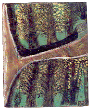 Alfred Wallis book image